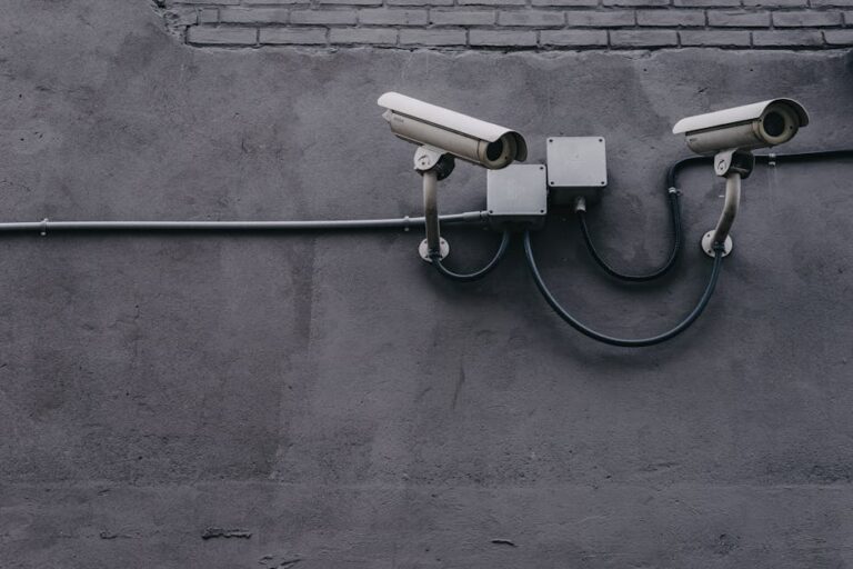 From Arab Spring to Global Control: How Digital Tools Fuel a Pervasive Surveillance Boom