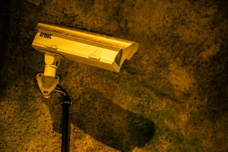 Utah’s VPN Restrictions & Hidden ALPR Data: How New State Laws Threaten Digital Privacy